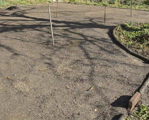 Zeitpunkt der Aussaat: Mitte Oktober (relativ spät). Für eine gleichmäßige Verteilung des Saatgutes wurde das Saatgut in 16 Portionen und die Fläche in ebenso viele Segmente aufgeteilt.