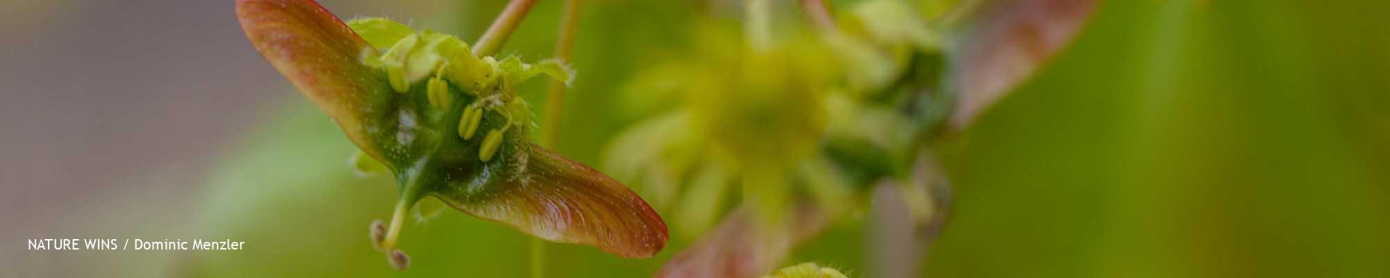 251-dm-230422_918_2000x400