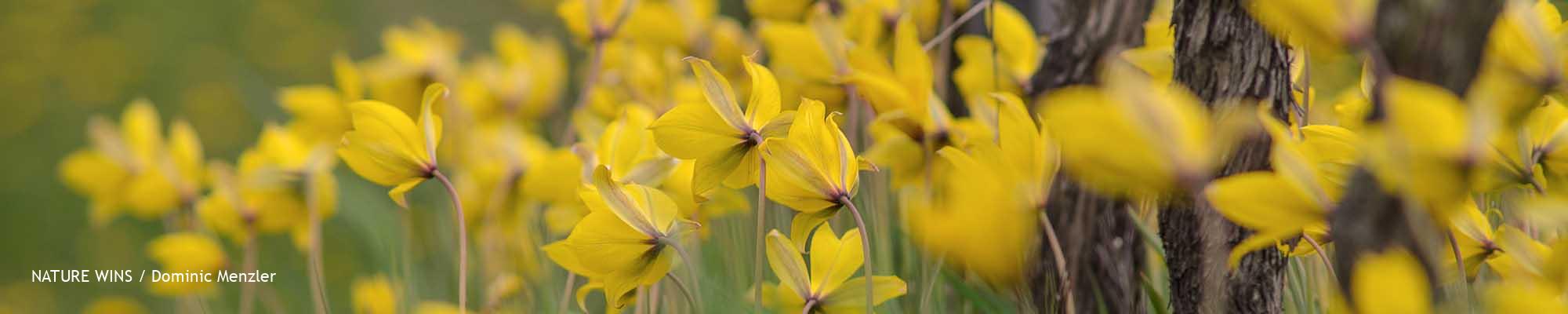 dm-230418_664_2000x400